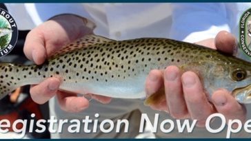 sea trout symposium